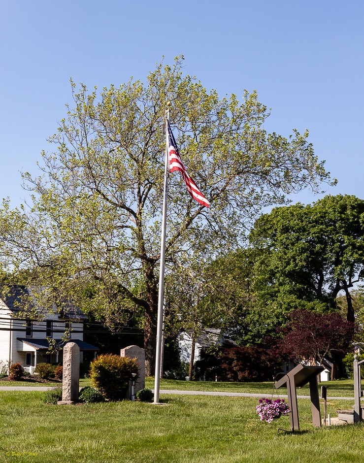 Pine Grove Cemetery - Flag