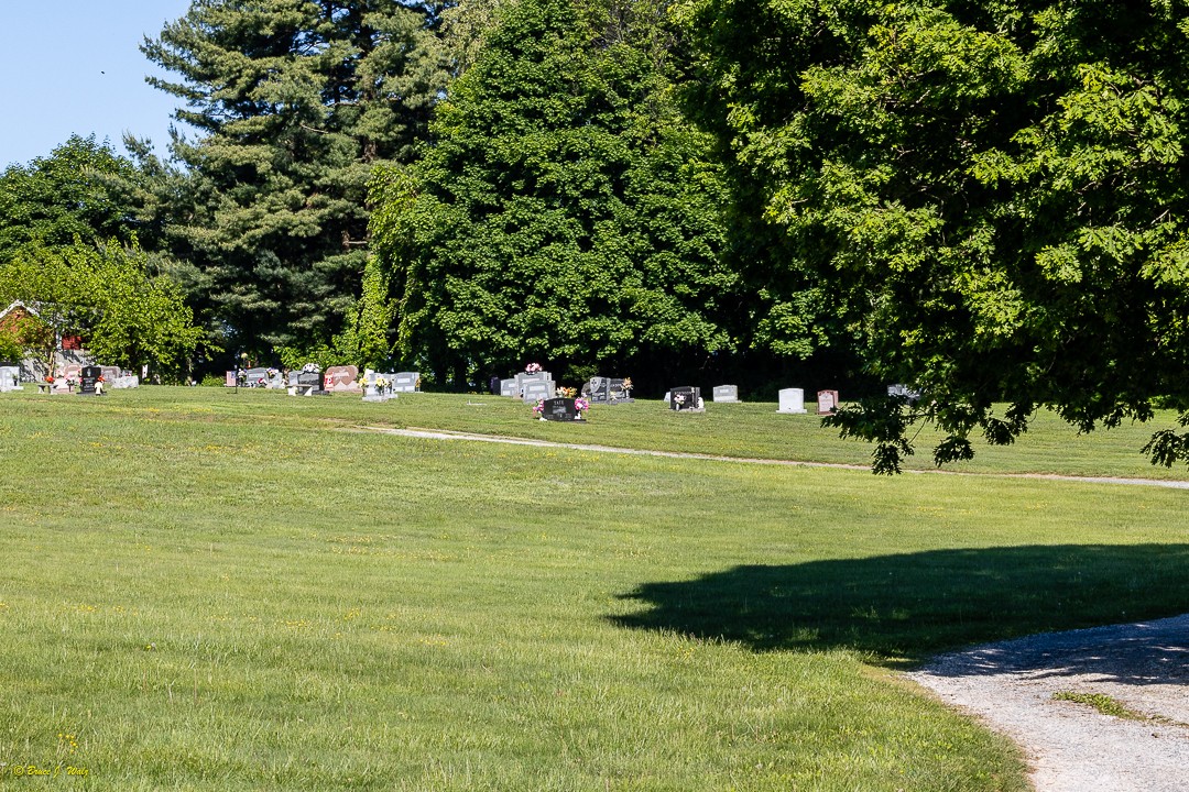 Pine Grove Cemetery - Field