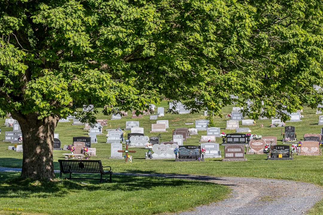Pine Grove Cemetery - Graves